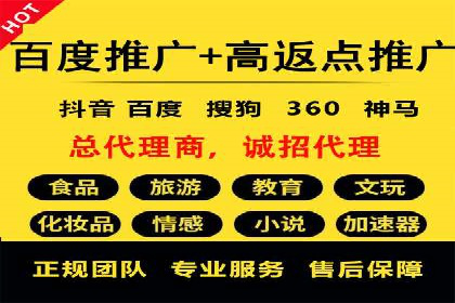 百度竞价公司案例分析：优化策略全解析